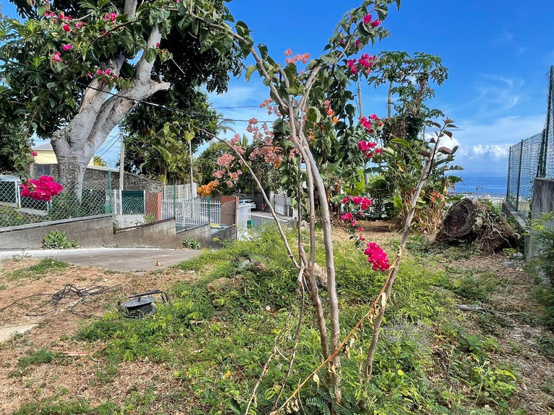 Maison - 67 m² - 3 pièces