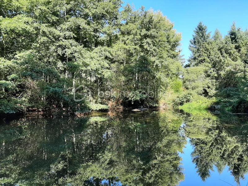 Terrain de loisirs - 9 275 m²