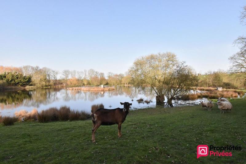 Terrain de loisirs - 41 945 m²