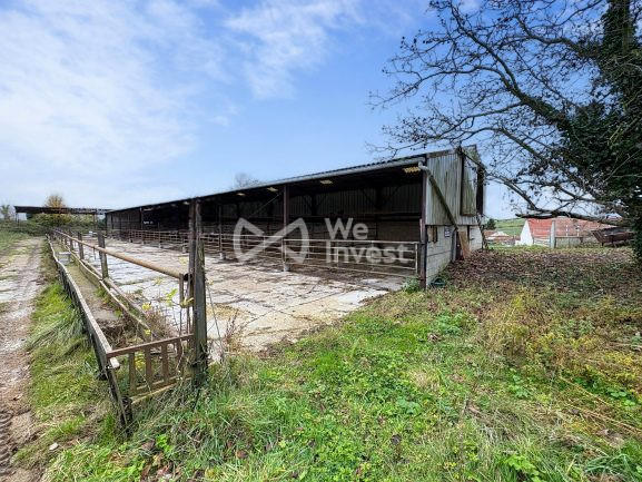 Maison - 136 m² - 6 pièces