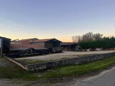 Local commercial - 950 m²