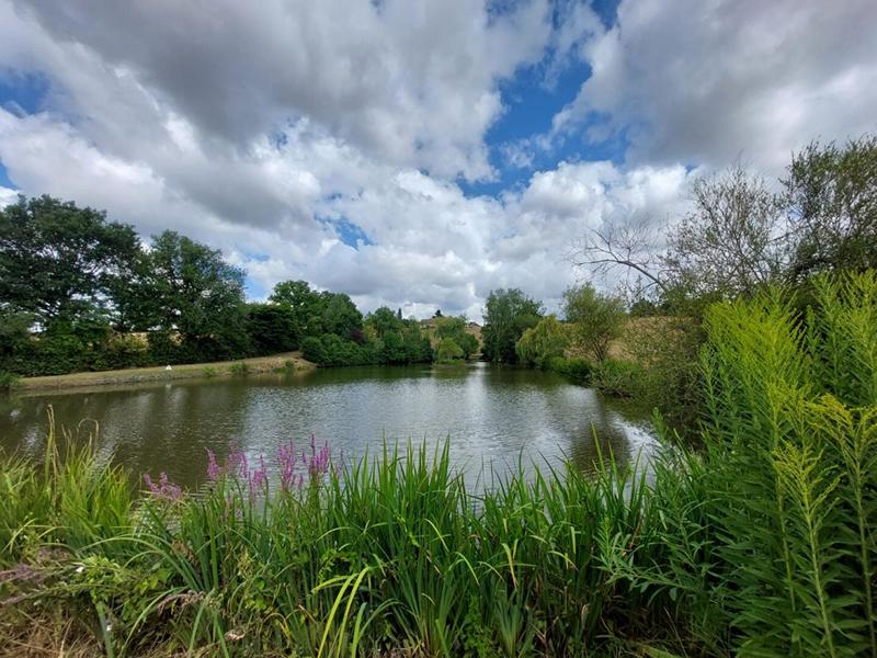 Maison - 132 m² - 5 pièces