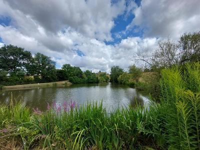 Maison - 132 m² - 5 pièces