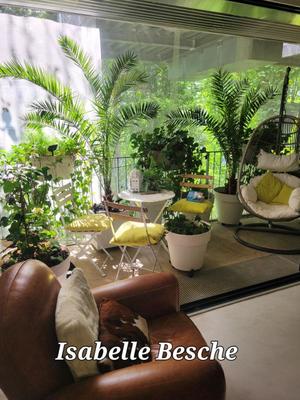 Appartement - 53 m² - 2 pièces