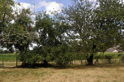 Fermette - 97 m² - 4 pièces