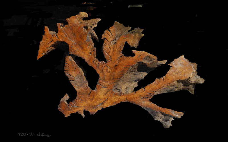 Sculptures sur bois, mascarades et carnavals