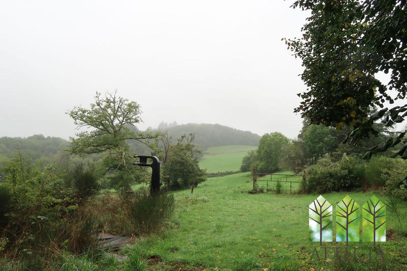 Maison - 261 m² - 14 pièces