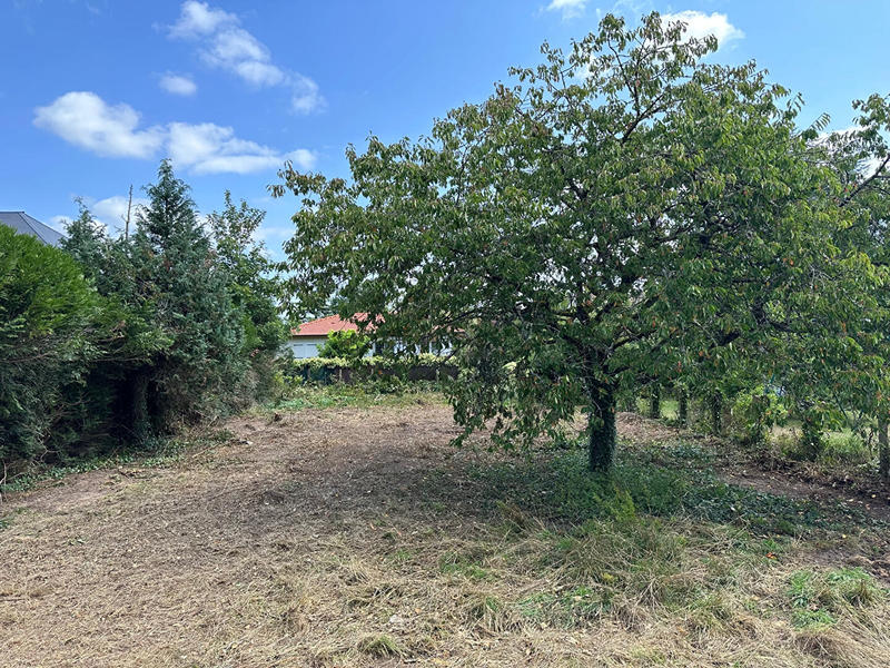 Terrain - 570 m²