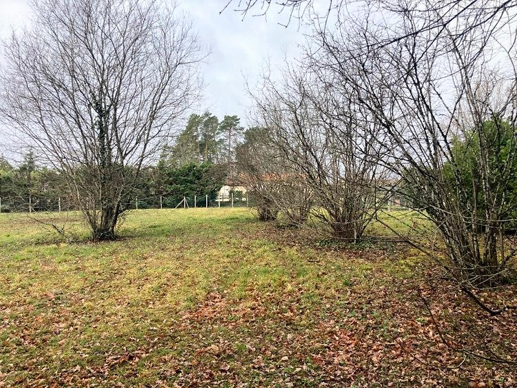 Terrain constructible - 1 402 m²