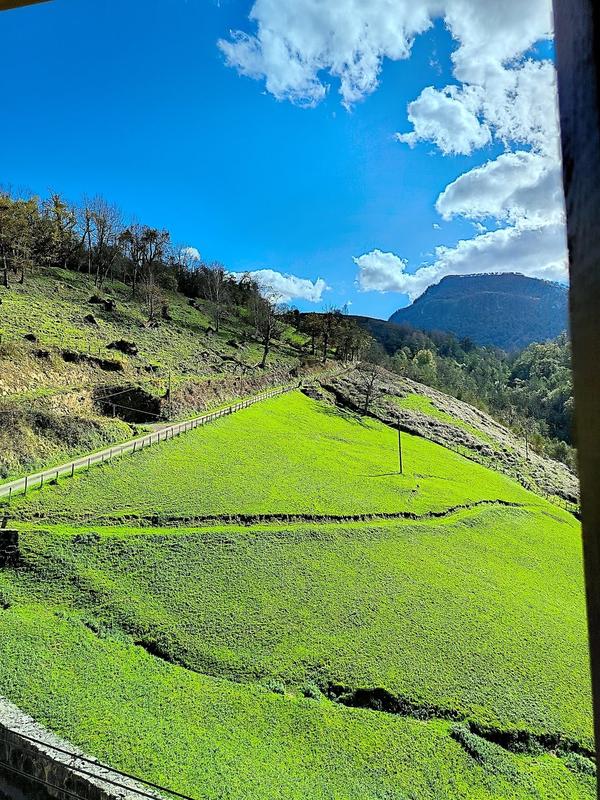 Ferme - 149 m² - 5 pièces