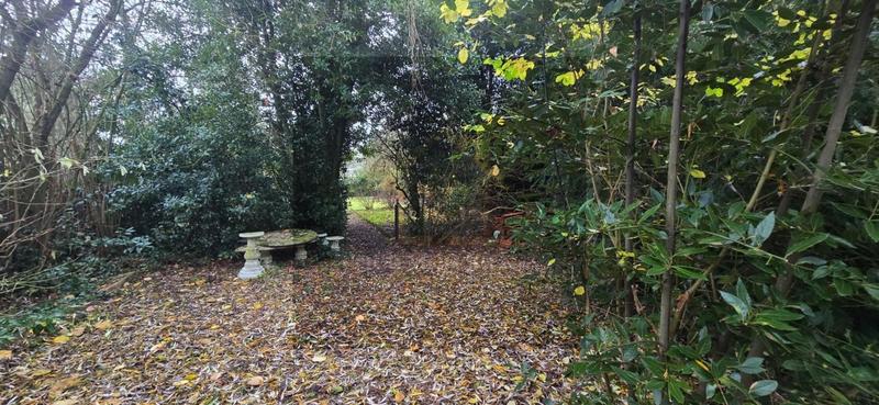 Maison - 199 m² - 7 pièces