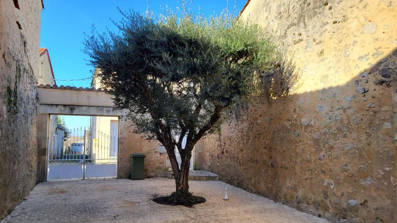 Maison - 118 m² - 5 pièces