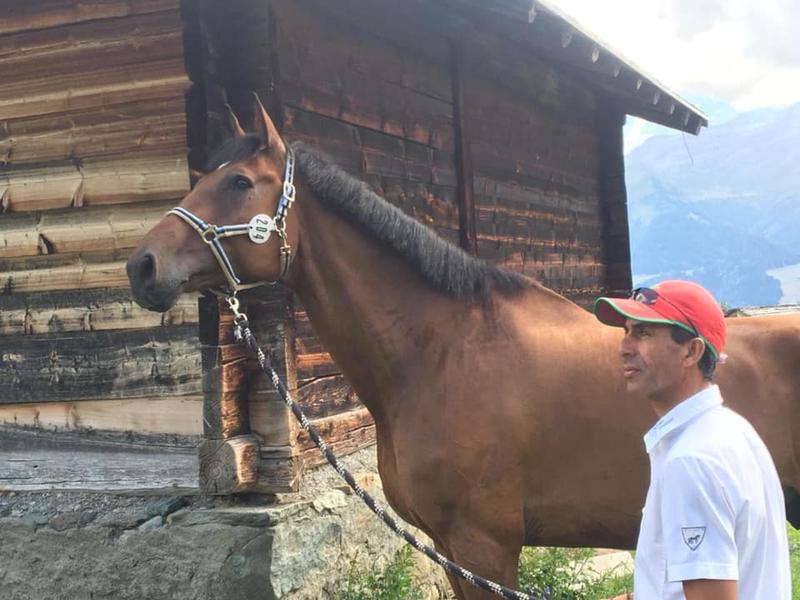 Stage d'équitation de Pâques