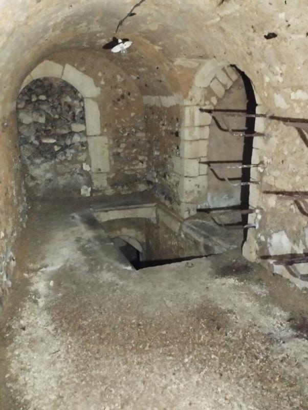 Hôtel particulier - 420 m² - 14 pièces