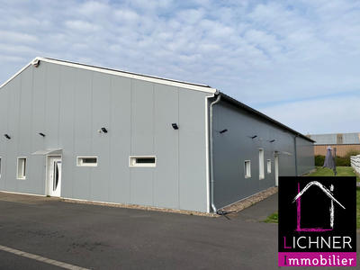 Local d'activités - 800 m²