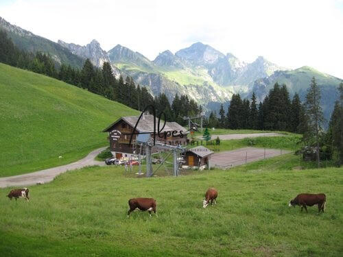 Appartement - 23 m² - 2 pièces