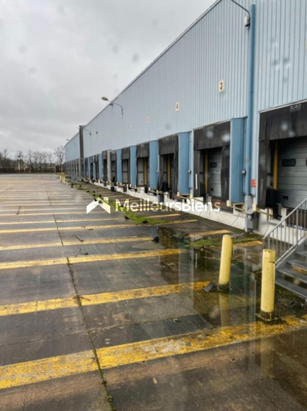 Entrepôt - 16 645 m²