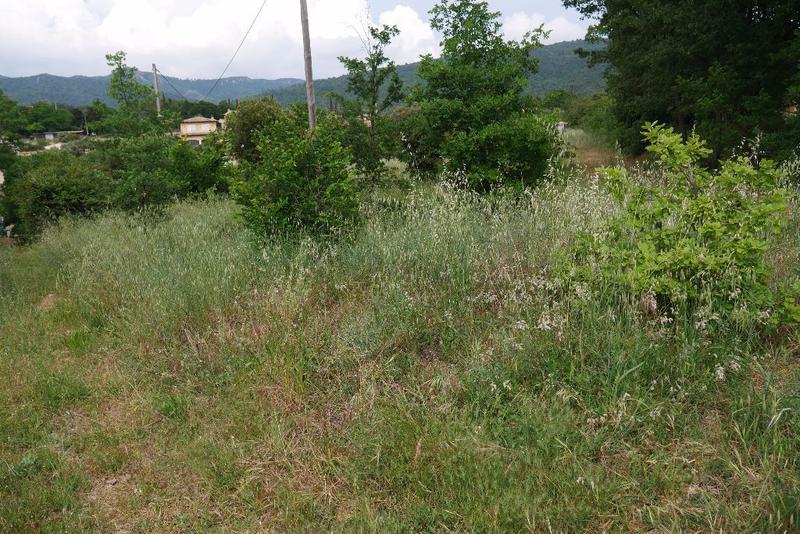 Terrain constructible - 2 005 m²