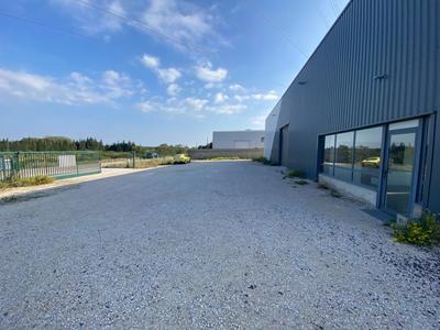 Entrepôt - 550 m² - 4 pièces