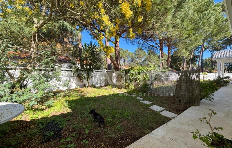 Maison - 235 m² - 6 pièces