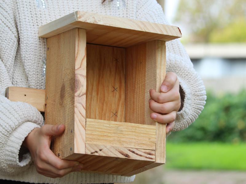 Construction d'une mangeoire à oiseaux  à Terres d'oiseaux
