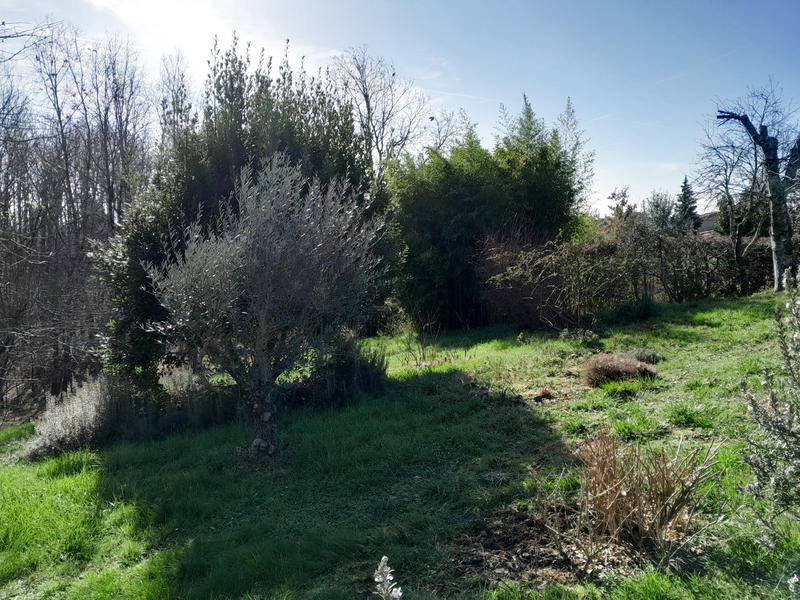 Maison - 220 m² - 6 pièces