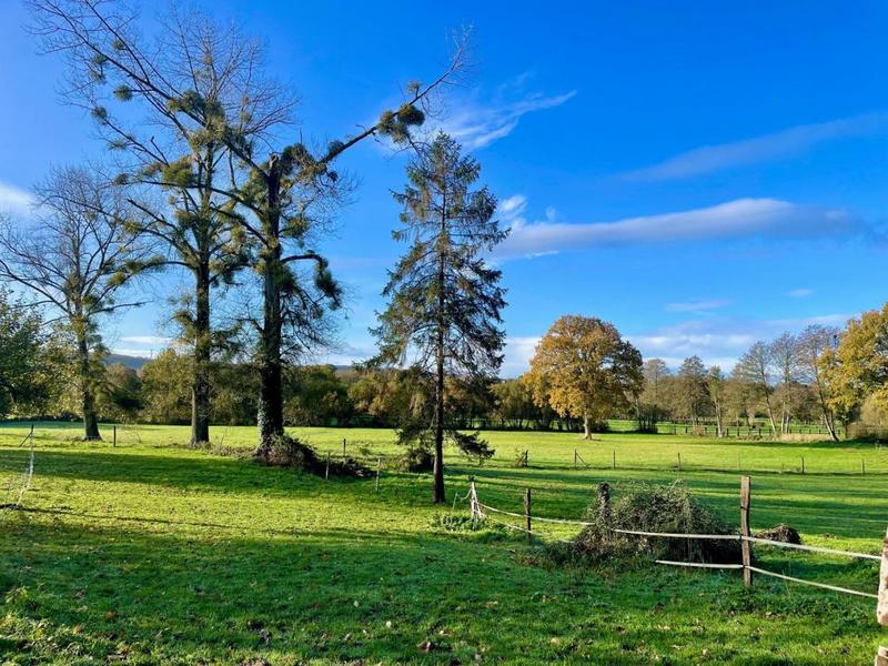 Maison - 162 m² - 7 pièces