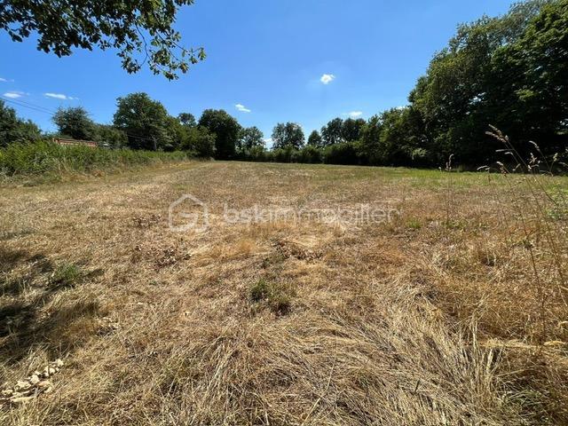 Terrain de loisirs - 3 599 m²