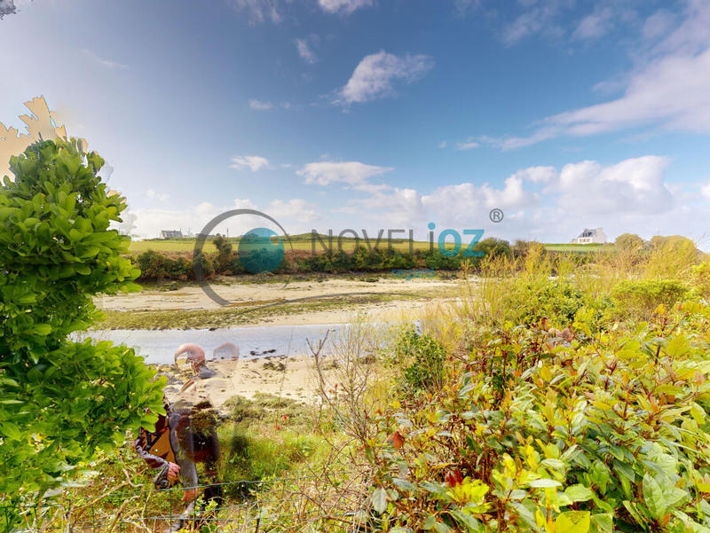 Viager - Maison - 80 m² - 5 pièces