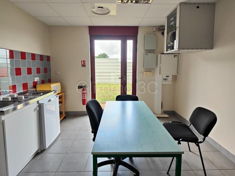 Bureau - 250 m² - 5 pièces