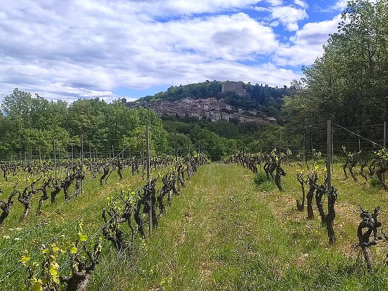 Terrain - 10 060 m²