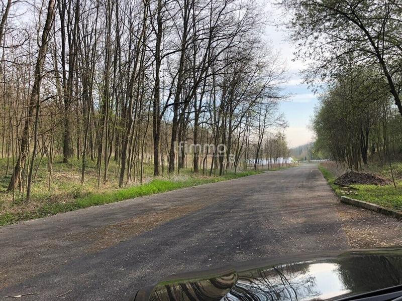 Terrain - 77 171 m²