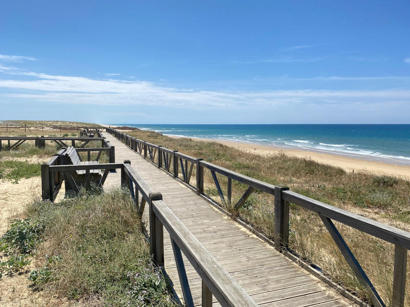 La journée de l'océan