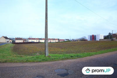 Terrain - 11 990 m²