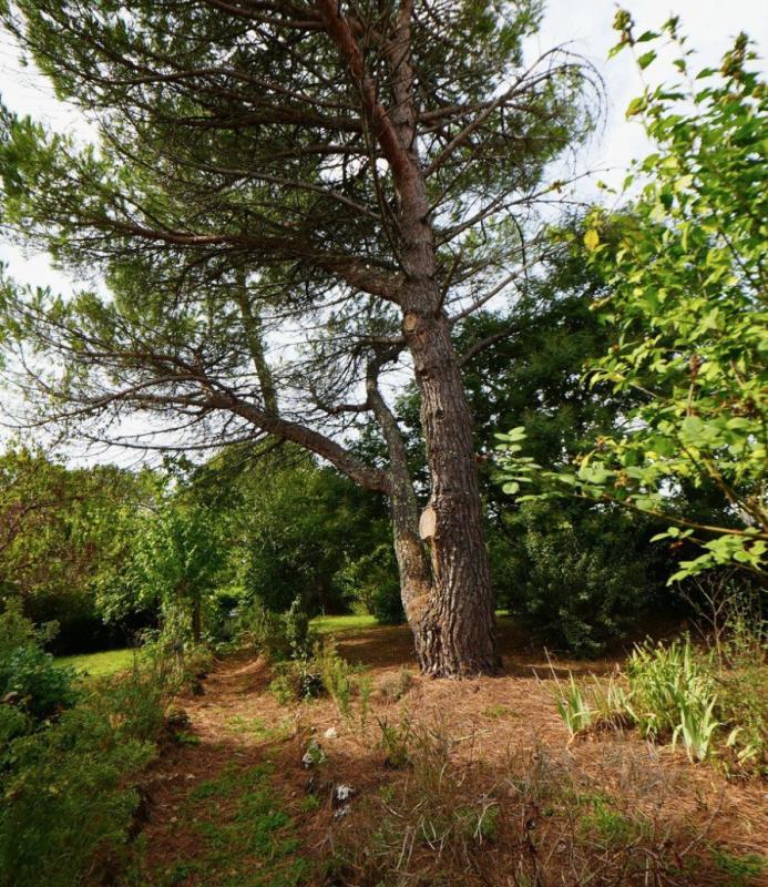 Maison ancienne - 136 m² - 4 pièces