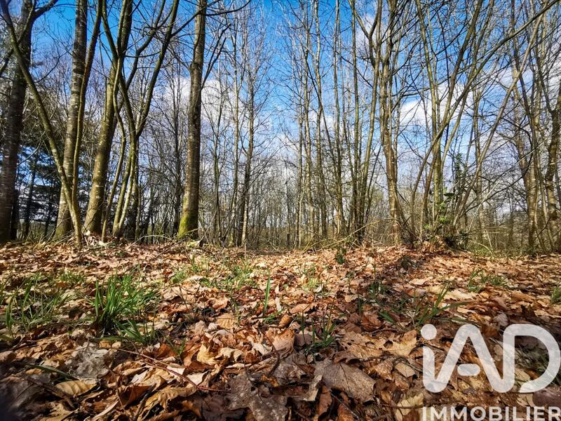 Terrain - 10 800 m²