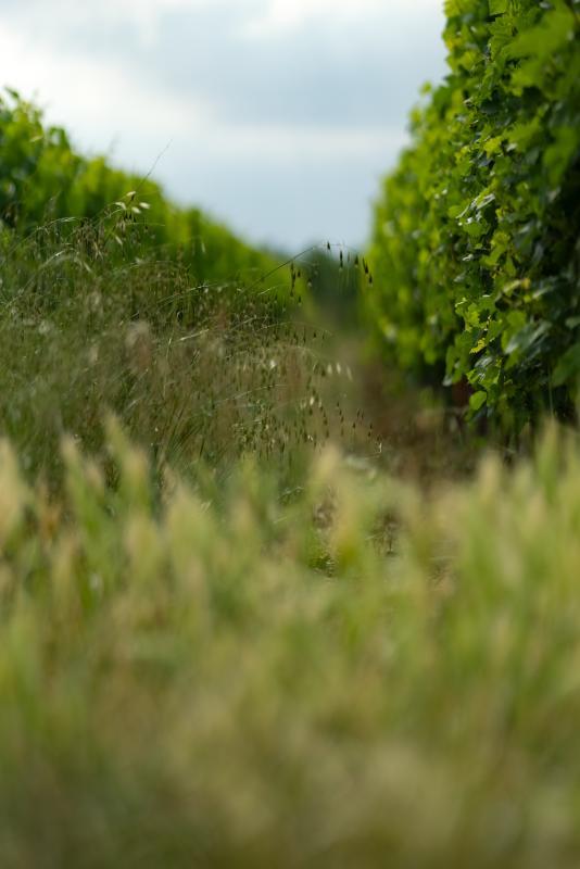 Terrain agricole - 360 000 m²