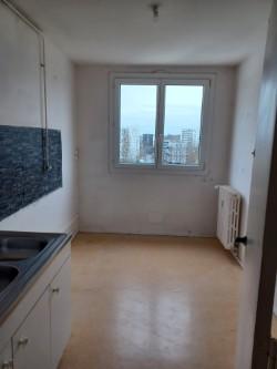 Appartement - 53 m² - 2 pièces