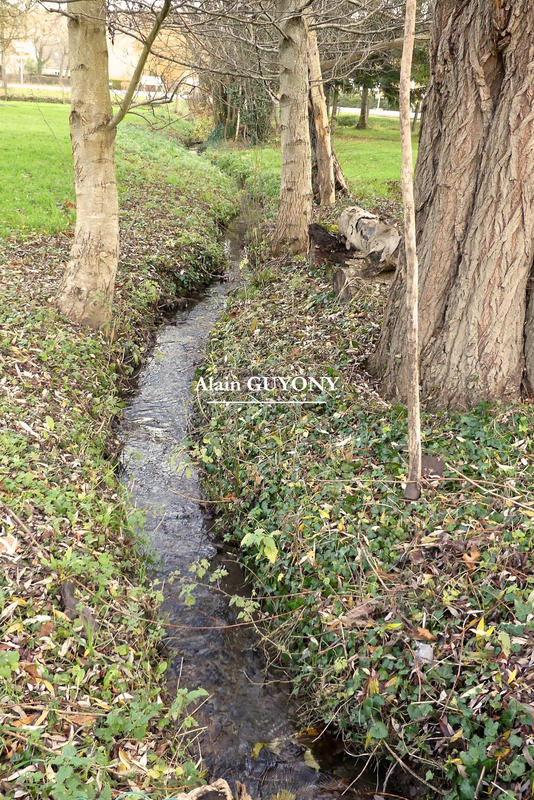 Maison ancienne - 202 m² - 6 pièces