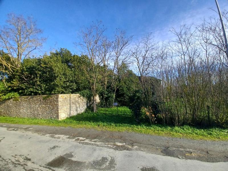 Terrain constructible - 1 707 m²