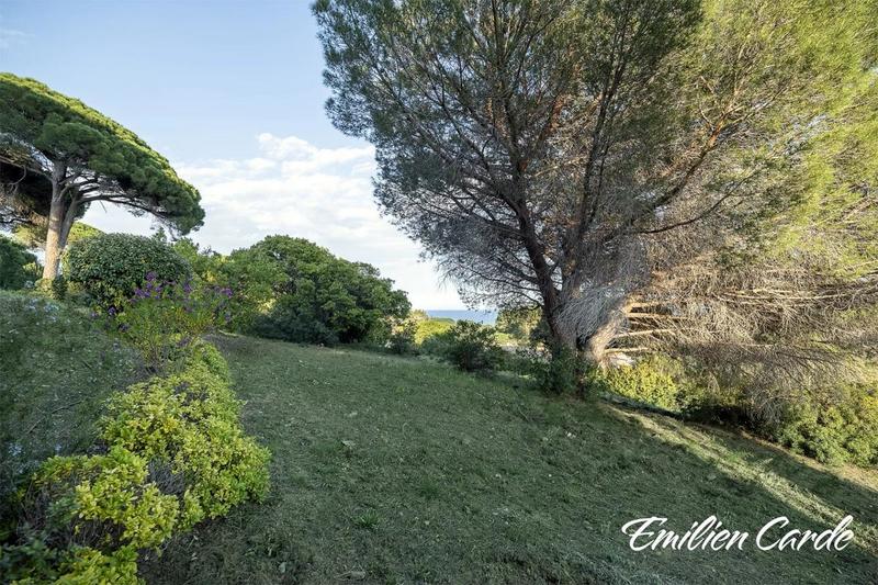 Terrain - 1 871 m²