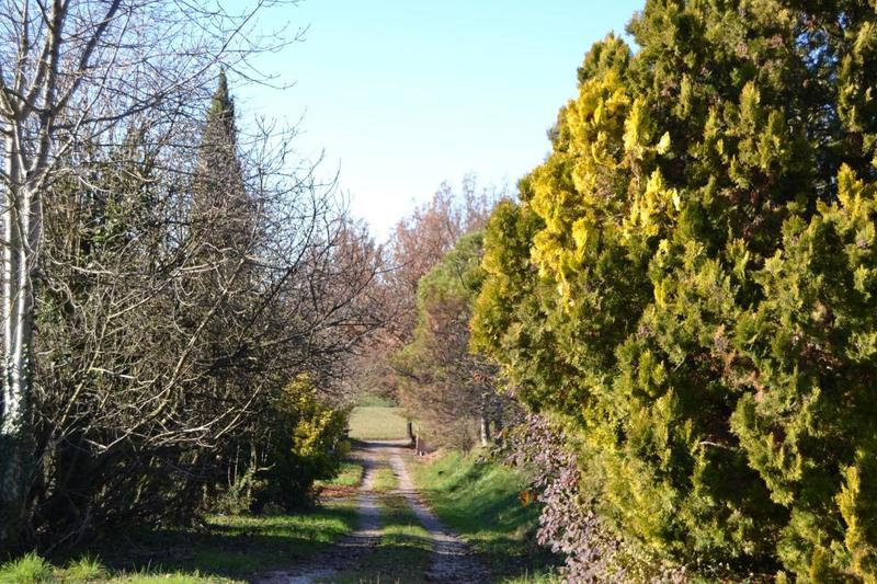 Maison - 253 m² - 7 pièces