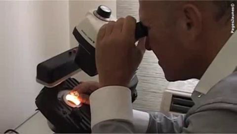 Diamantaires Og Négociant