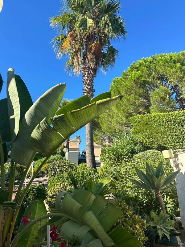 Maison jumelée - 101 m² - 3 pièces