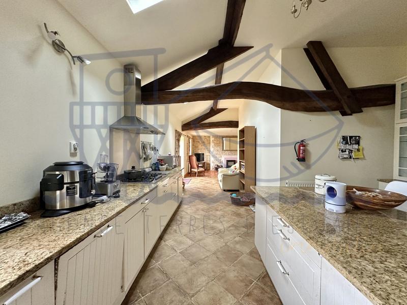 Maison ancienne - 387 m² - 8 pièces