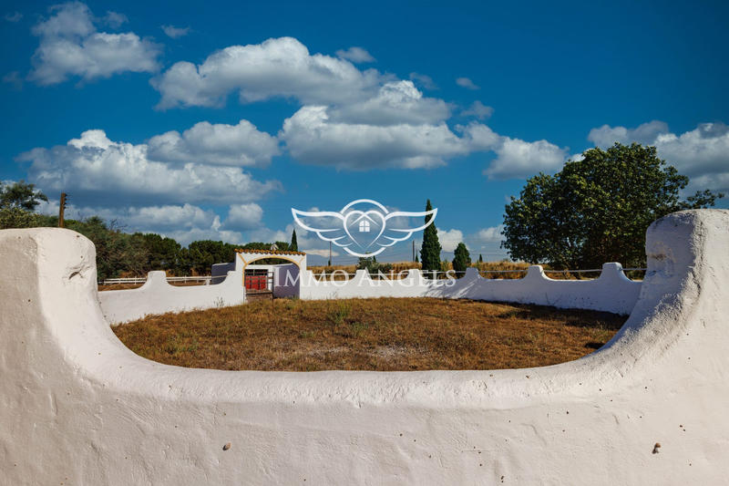 Mas - 575 m² - 21 pièces