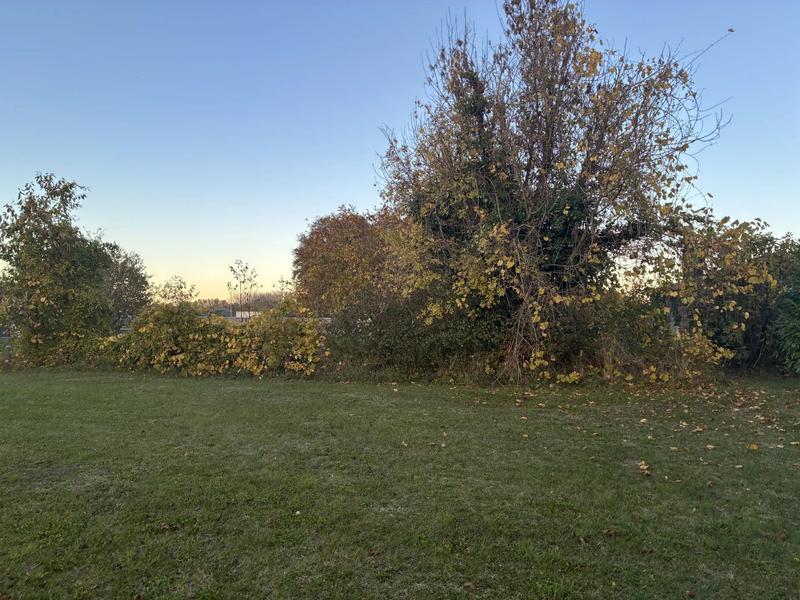 Terrain - 1 800 m²