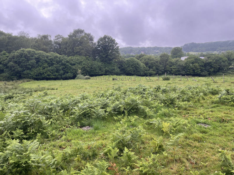 Terrain - 15 636 m²