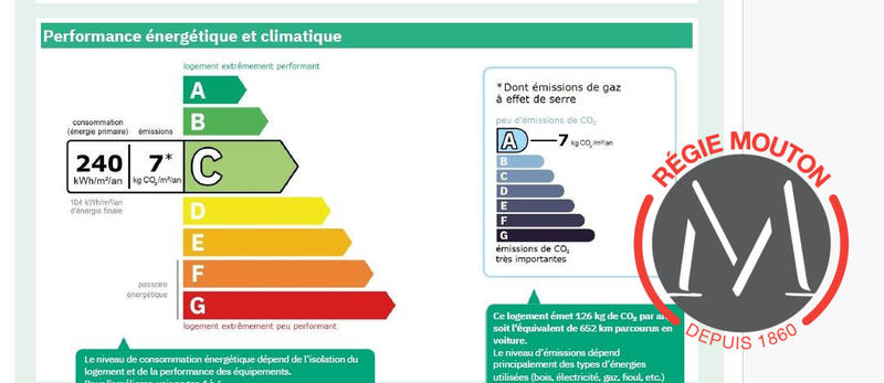 Appartement - 18 m² - 1 pièce