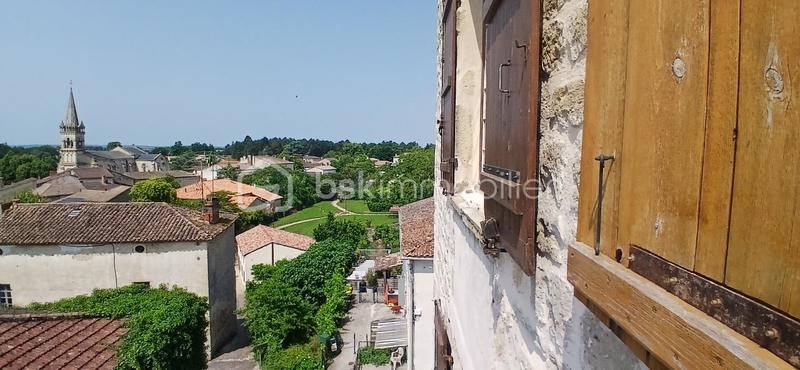 Château - 120 m² - 4 pièces